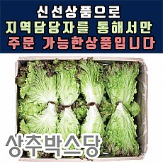 [박스]청상추N